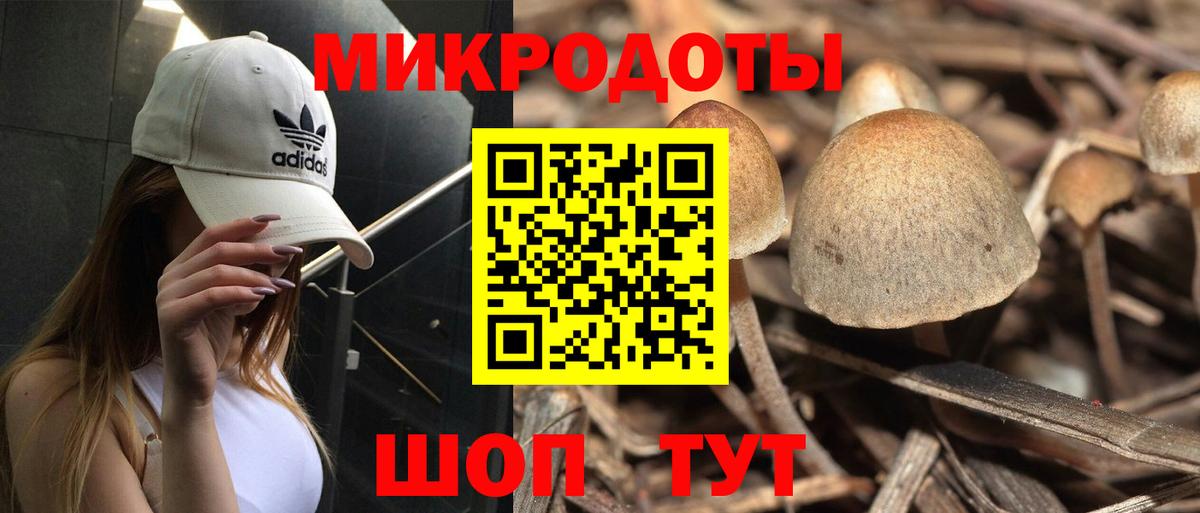 Галлюциногенные грибы мухоморы  Вход с VPN  Хасавюрт 
